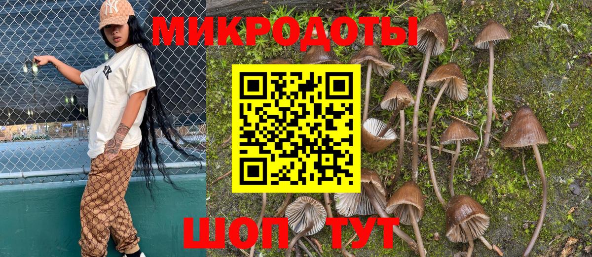 Псилоцибиновые грибы мухоморы  Галлюциногенные грибы Psilocybine cubensis  Вход с VPN  Кандалакша 