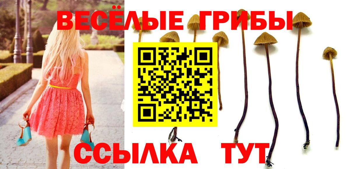 Галлюциногенные грибы MAGIC MUSHROOMS Кандалакша